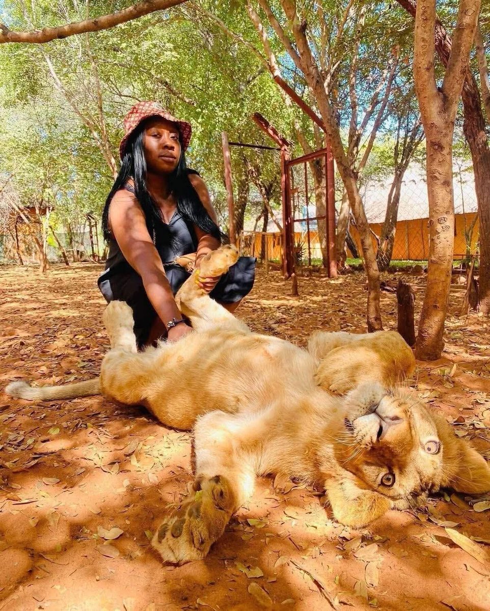 #NawaZone 📷🇳🇦 tweet media