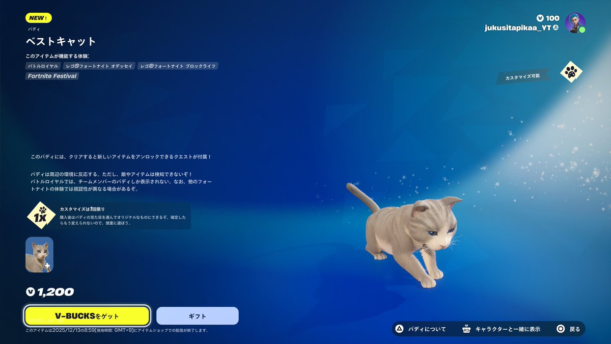 この猫買おうかな？みんな教えてください