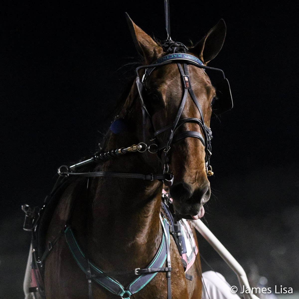 Lisa Photo tweet media