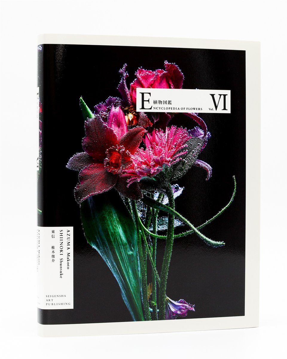東信 作品集 写真集 求龍堂：東信作品集 花と俺
