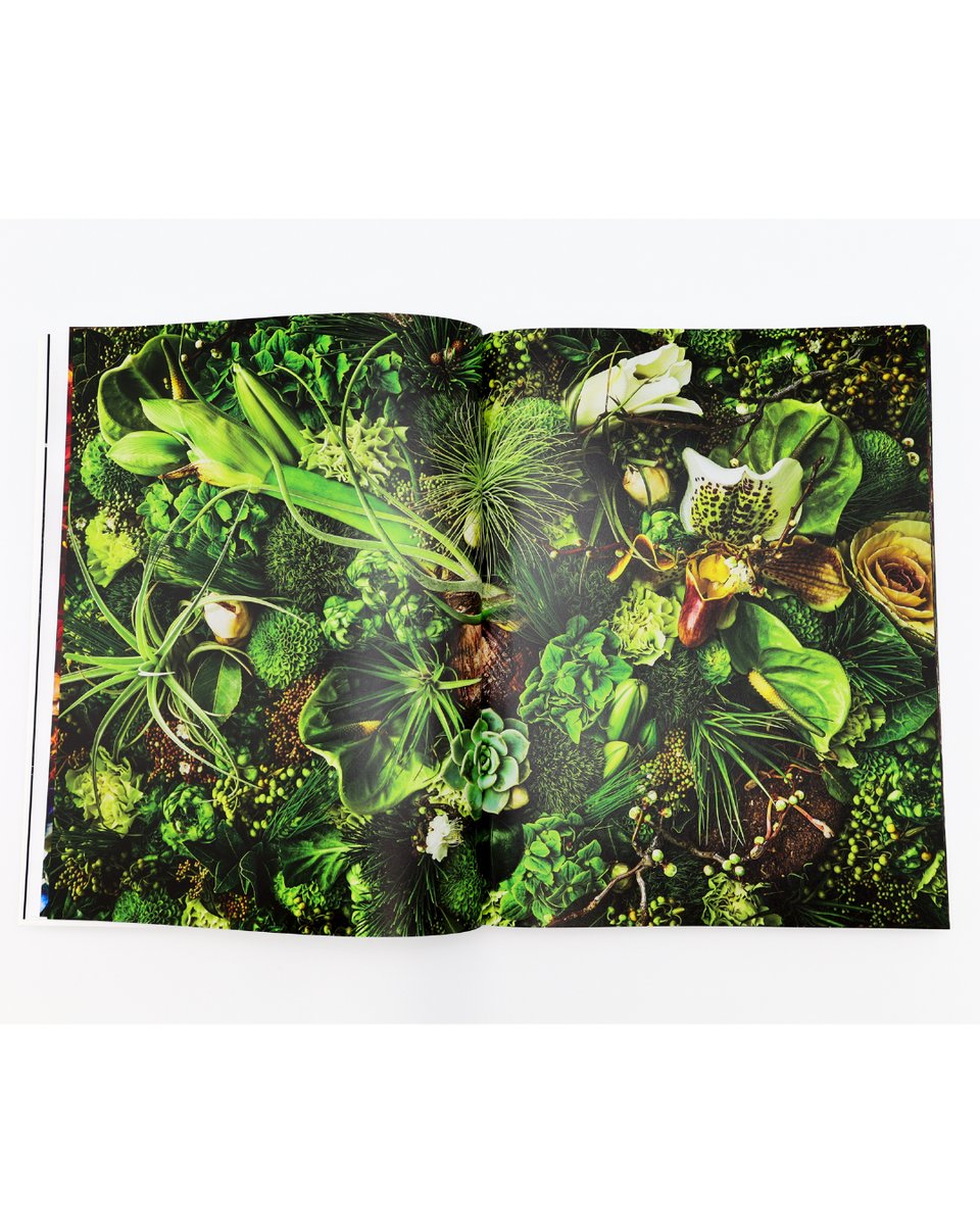 📚✨ #青幻舎2025年刊行書籍プレイバック ✨📚 ENCYCLOPEDIA OF