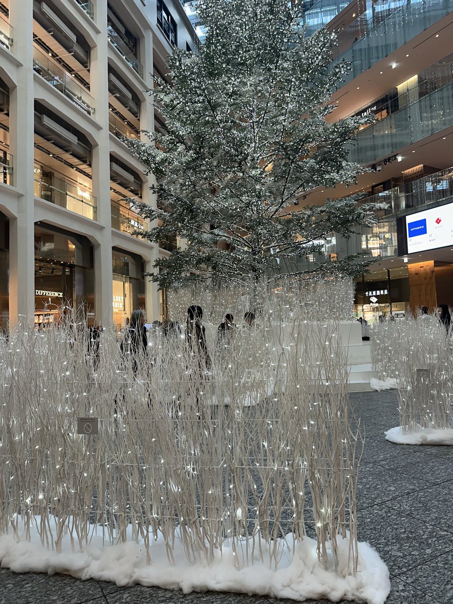 fwdintokyo's tweet photo. 荷主クリスマスツリーハンターに、おれはなるっ！ https://t.co/Fnlj97rdFR