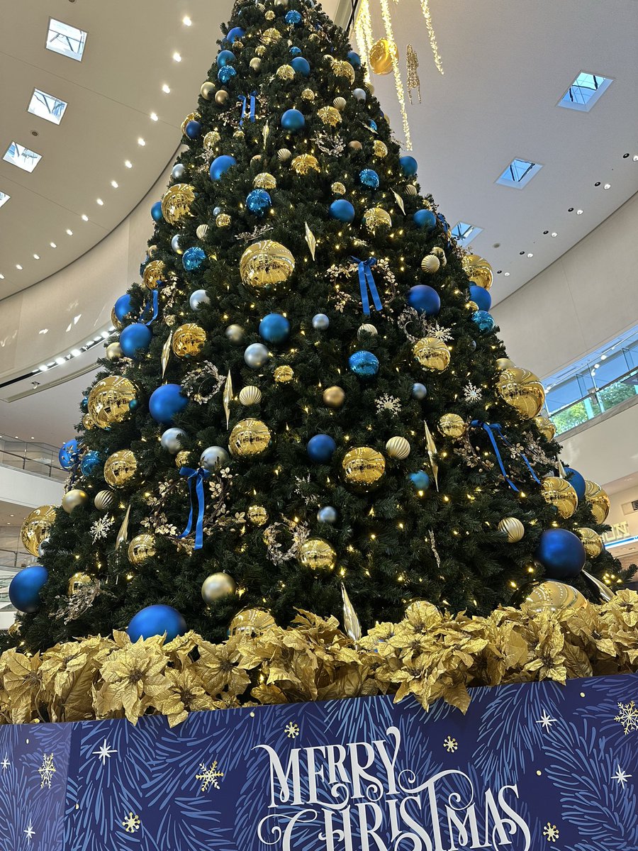 fwdintokyo's tweet photo. 荷主クリスマスツリーハンターに、おれはなるっ！ https://t.co/Fnlj97rdFR