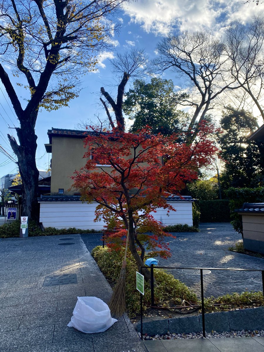 从鸭川大桥拐个弯，我有时从下鸭神社门前经过。
今年的红叶季落幕了，不知明年会不会还走这条路。