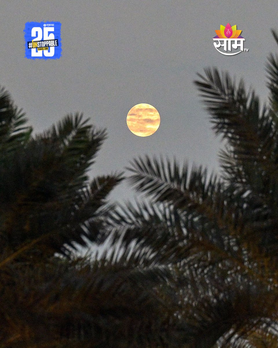 saamTVnews's tweet photo. डिसेंबरमधील पौर्णिमेला ‘कोल्ड मून’ म्हणून ओळखले जाते आणि हा 2025 मधील शेवटचा सुपरमून असतो. गुरुवारी (4 डिसेंबर) 2025 वर्षातील शेवटचा सुपरमून पाहायला मिळाला आहे.
#Supermoon2025 #ColdMoon #NightSky #StunningVisuals #photos #latestupdate #marathinews https://t.co/IplStUiasA