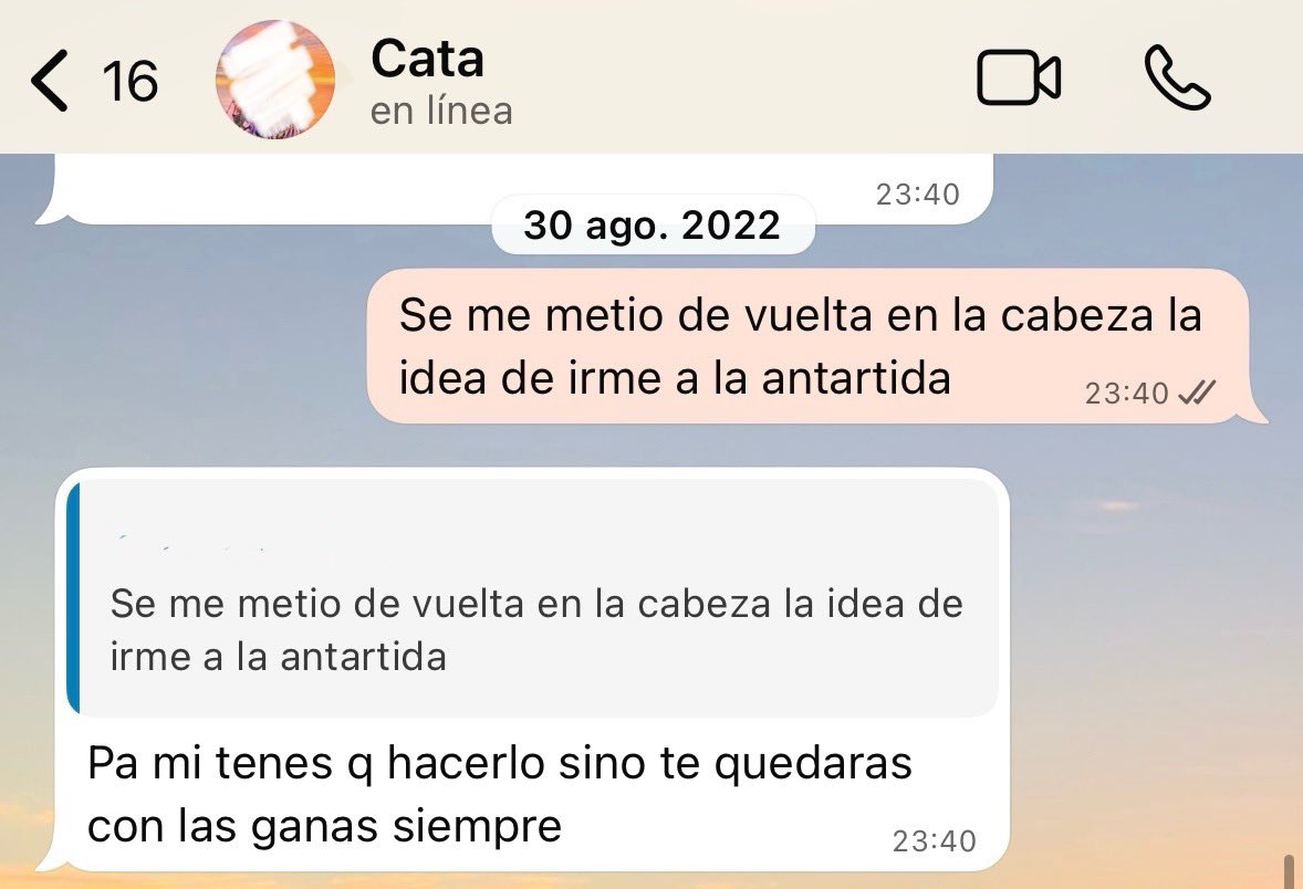 Sofía 🐧 tweet media