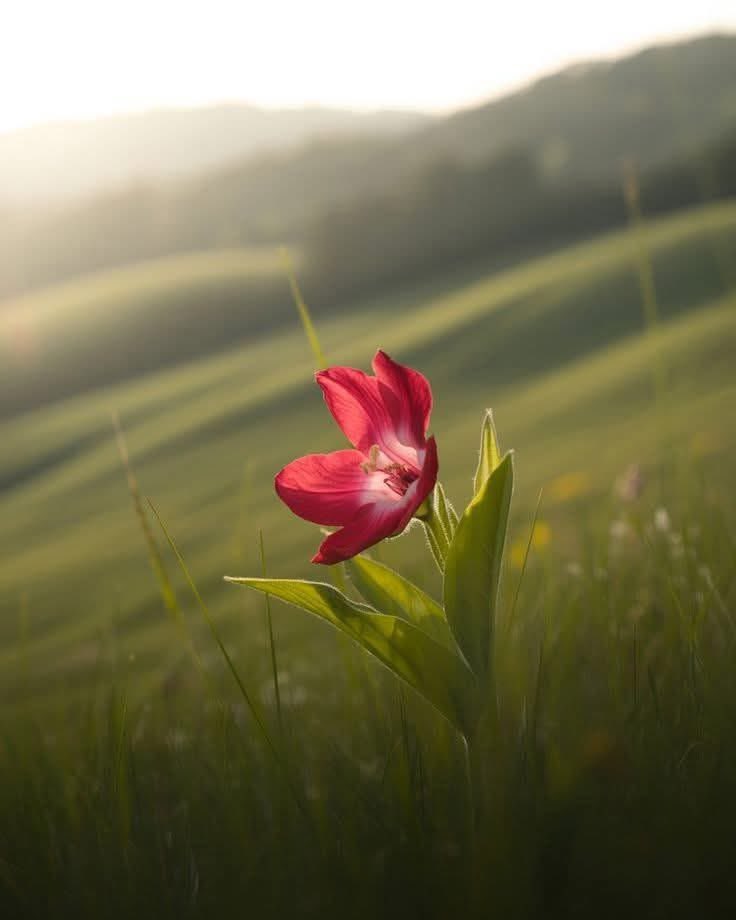 "اور اللہ ہی بہترین کارساز ہے۔"
 سورۃ آلِ عمران، آیت 173
 صبح کی شروعات اس یقین کے ساتھ کریں کہ آپ کے معاملات اللہ کے سپرد ہیں، اور وہ آپ کے لیے کافی ہے۔

السلام علیکم 
صبح بخیر