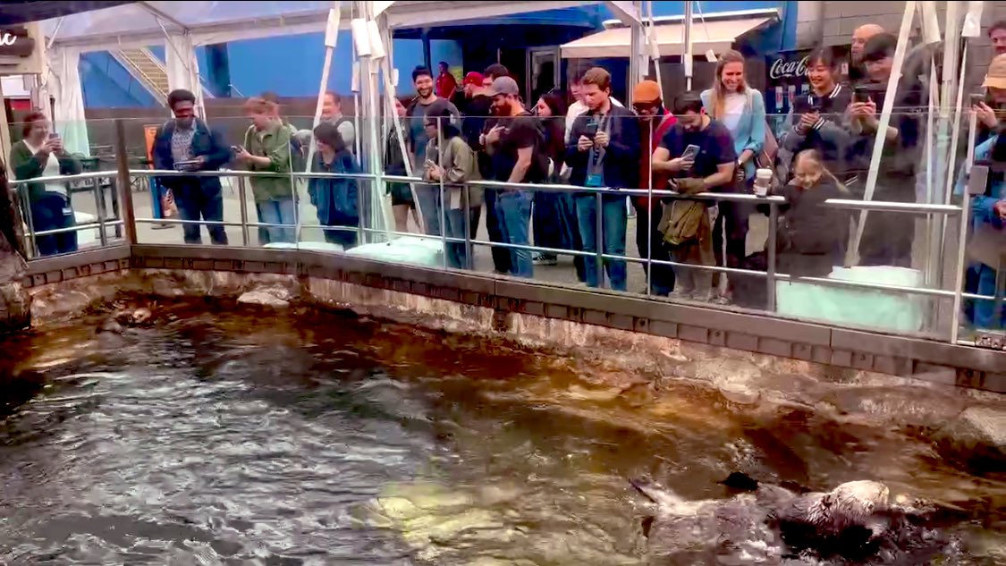 Yuka（つっちー） tweet media