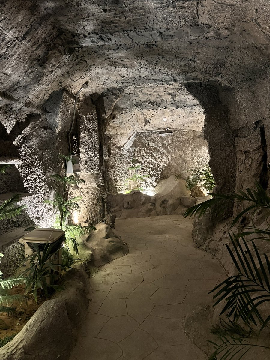 logtekc's tweet image. يوم جميل ❤️