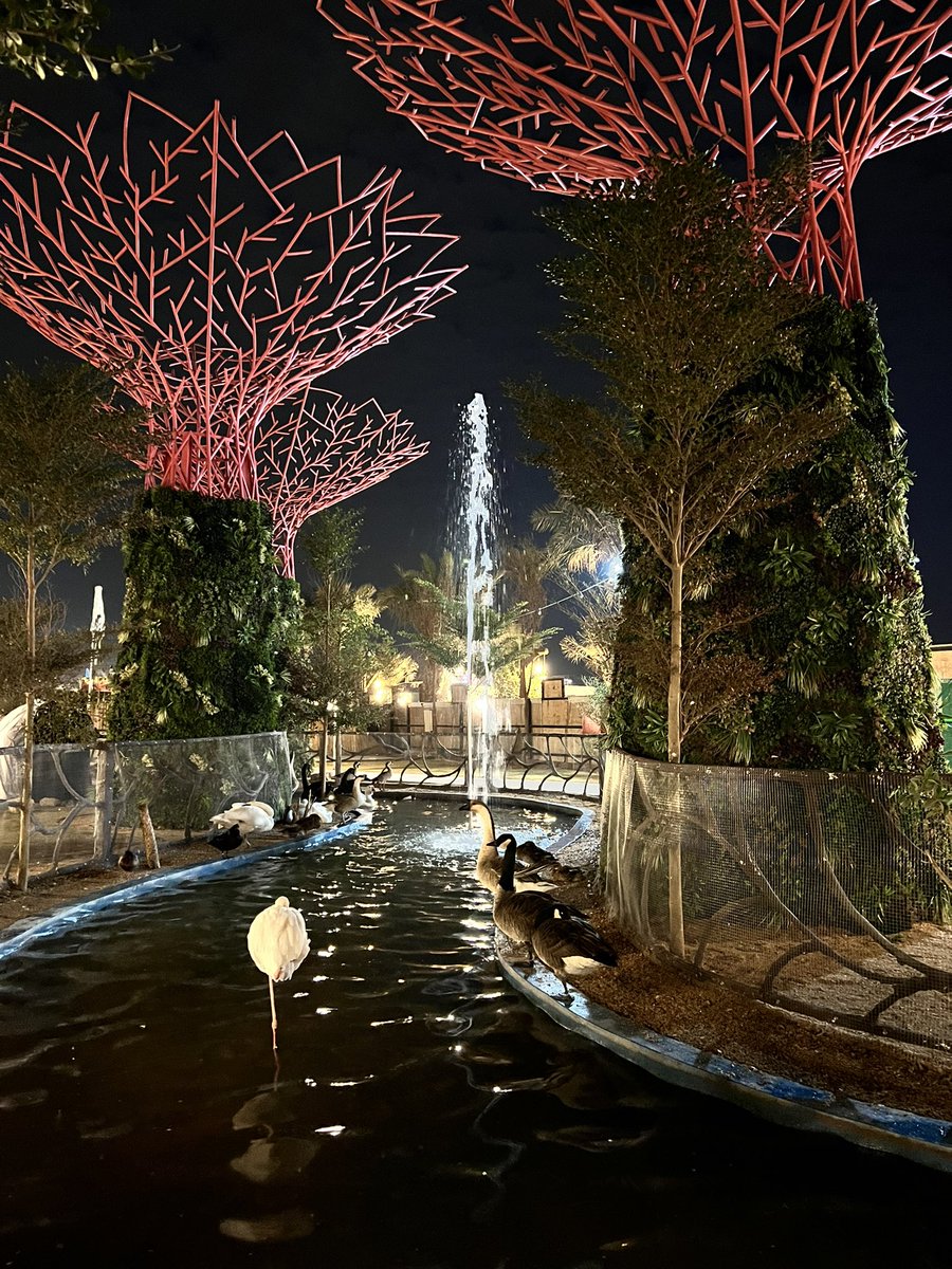 logtekc's tweet image. يوم جميل ❤️