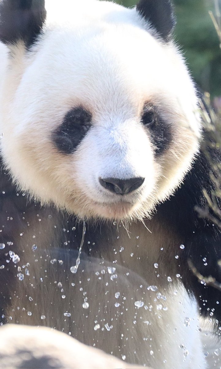 ゆかたん (@yu_ka7493) / Posts / X