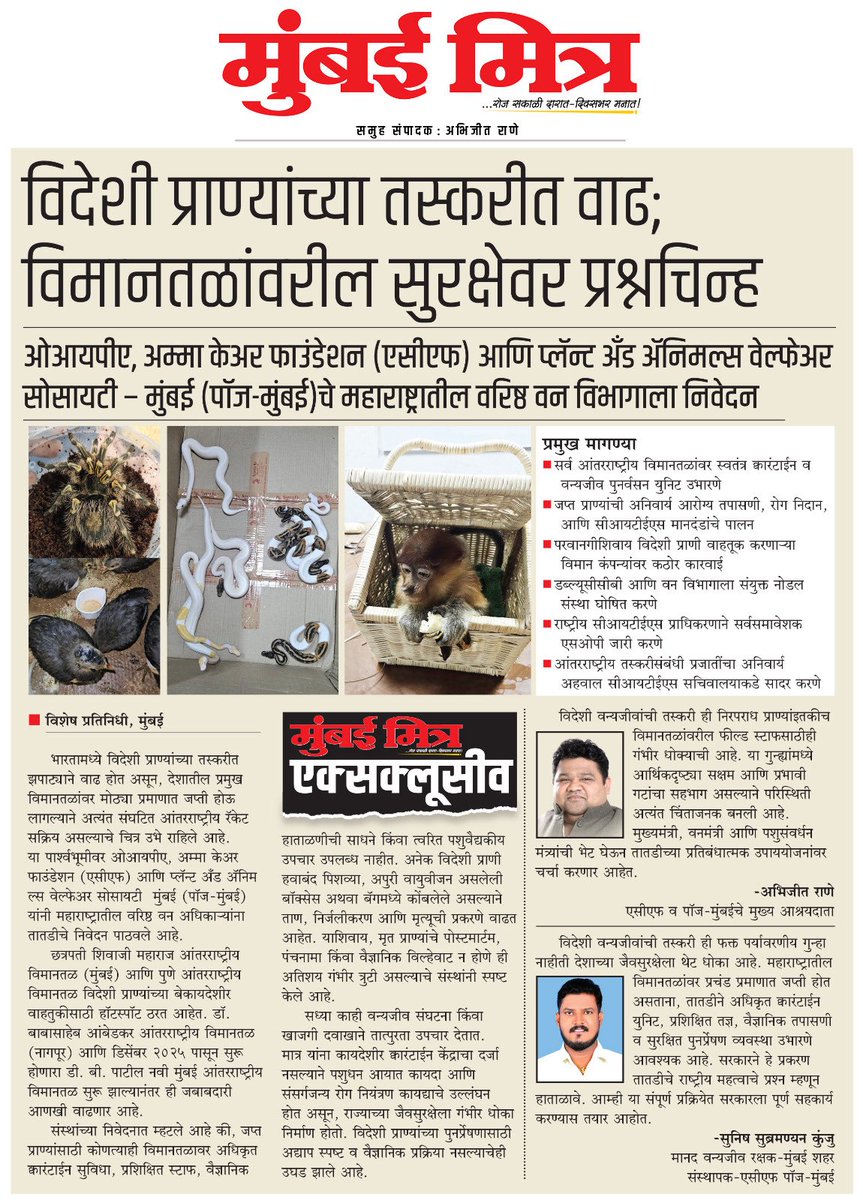 ABHIJEETRANE's tweet image. livemumbaimitra.com/?p=77884
*📰 MUMBAI MITRA EXCLUSIVE*

◆ *विदेशी प्राण्यांच्या तस्करीत वाढ; विमानतळांवरील सुरक्षेवर प्रश्नचिन्ह*
◆ ओआयपीए, अम्मा केअर फाउंडेशन (एसीएफ)
#WildlifeTrafficking #StopSmuggling #ProtectExotics #AirportSecurity #SaveWildlife #CITESCompliance #AnimalRes…