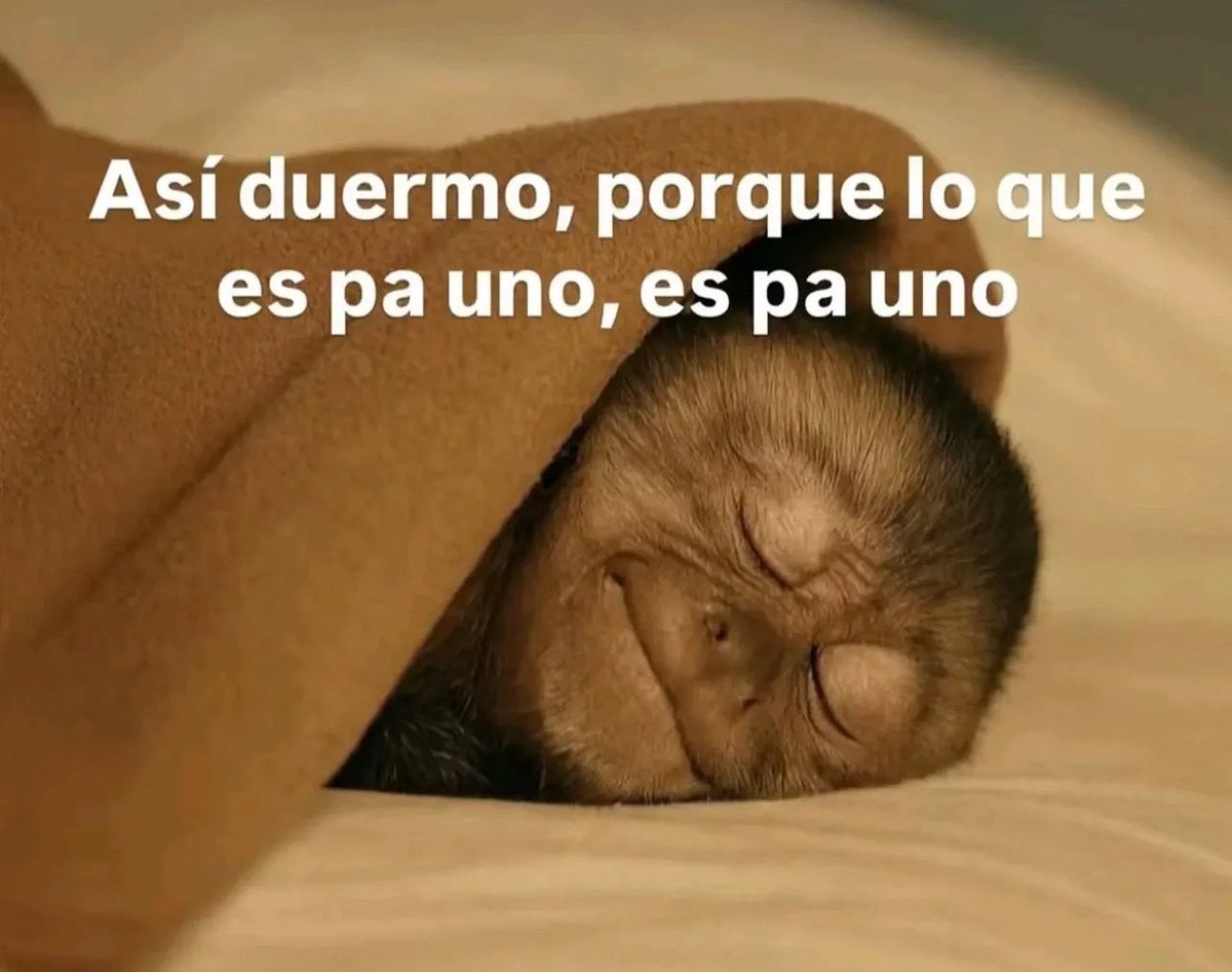 conoloracigarro's tweet image. 