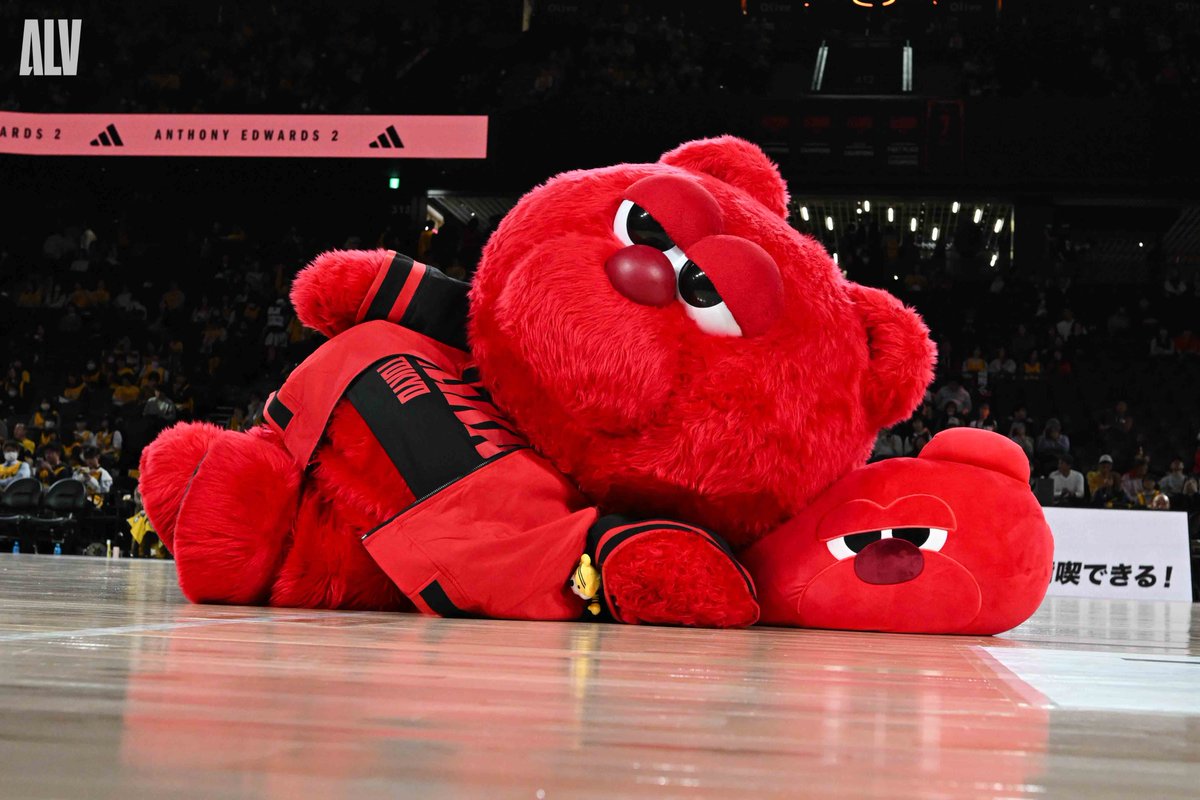 ALVARK_TOKYO's tweet photo. ルークは仮眠スキ…？🐻💤 https://t.co/cg0gmhE72I