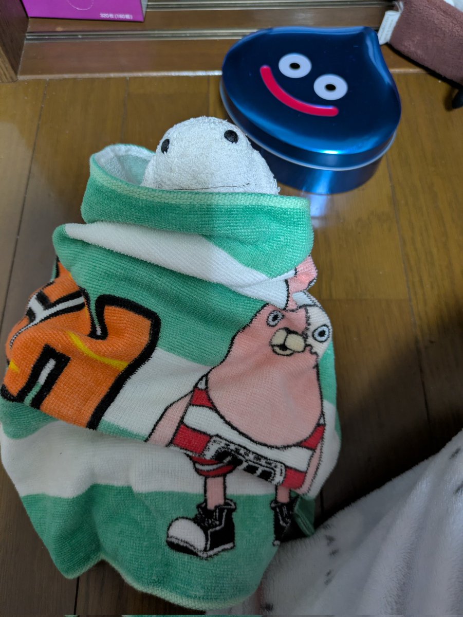 あまちゃん、おくるみよ
「さいきんさむいからねー」
#ぬい撮り