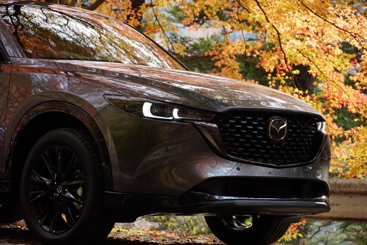 JeyType1's tweet photo. 許可もらったので
もろだししちゃうもんね〜
MAZDA 5の日!
#MAZDA #CX_5 #MX_5 #CX5day #MX5day https://t.co/CagWiUxZmg
