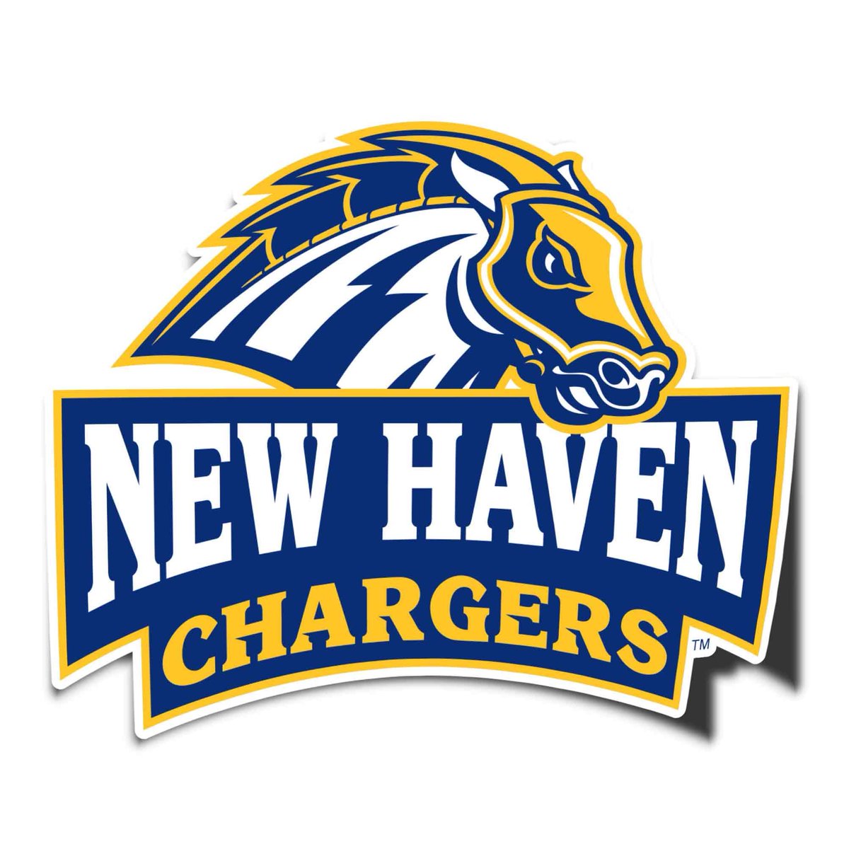 Joey Montalvo tweet media