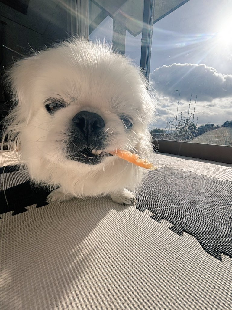 うみゃい。