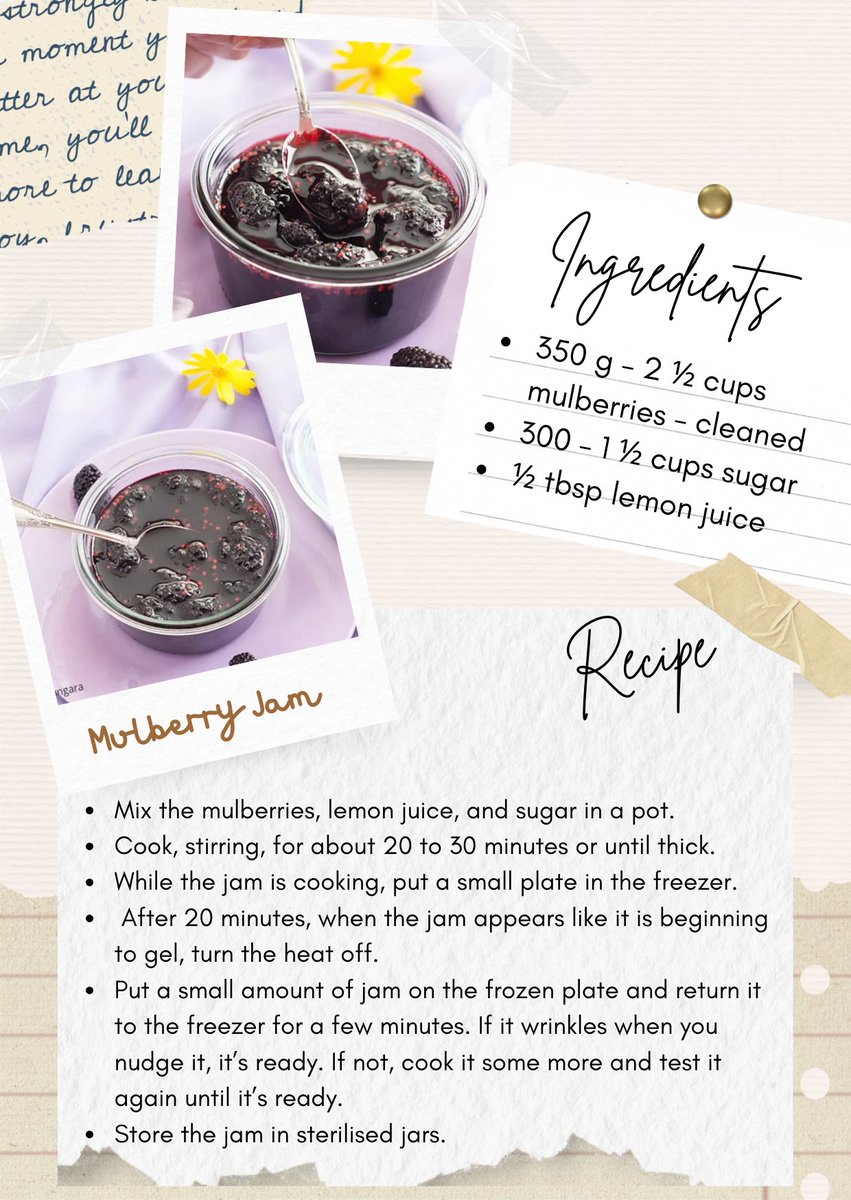 If you’ve never made jam at home, mulberries are the easiest place to start. This batch turned out so good, I’m already planning another. Should I share more like this? 

bit.ly/manus-christma…

#homemadejam #breakfast