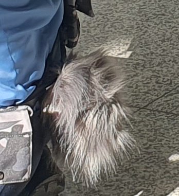 와서 한 것 . 선님 육수.