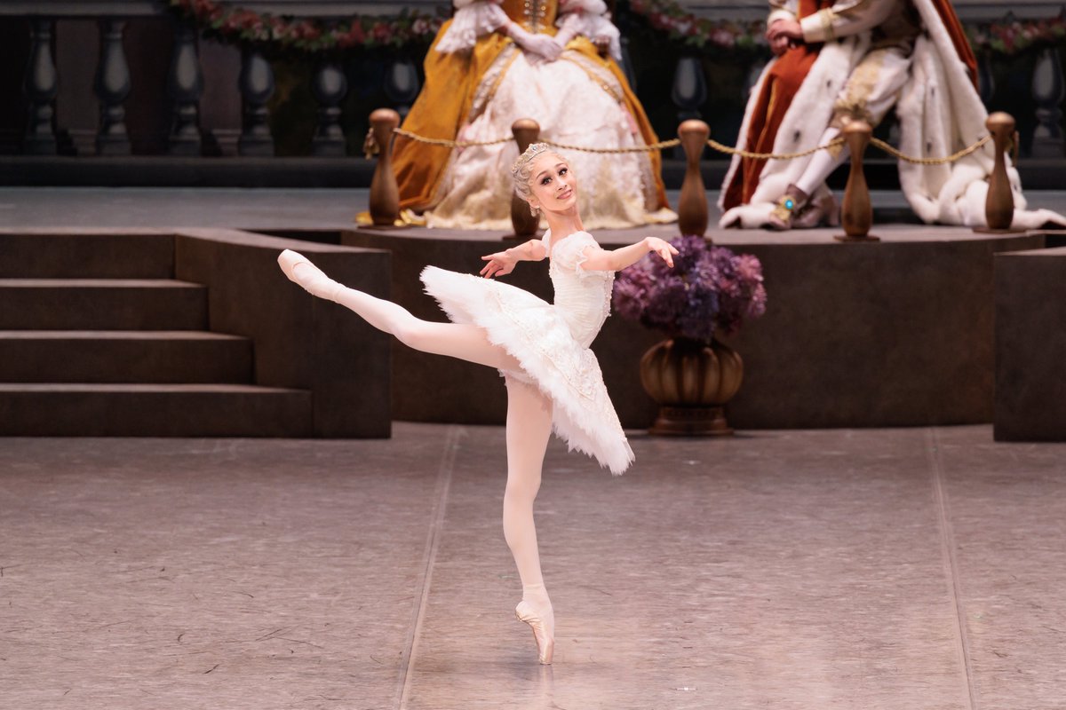 来年1月に開催する〈#ゼニス・オブ・バレエ ー至高の舞〉。世界の