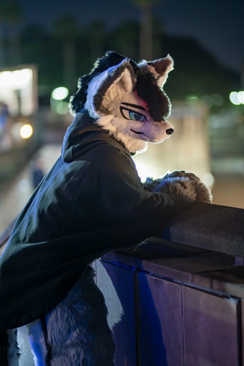 eps_ham's tweet photo. まなざし
#FursuitFriday #KSF4 https://t.co/5Z54aXseyt