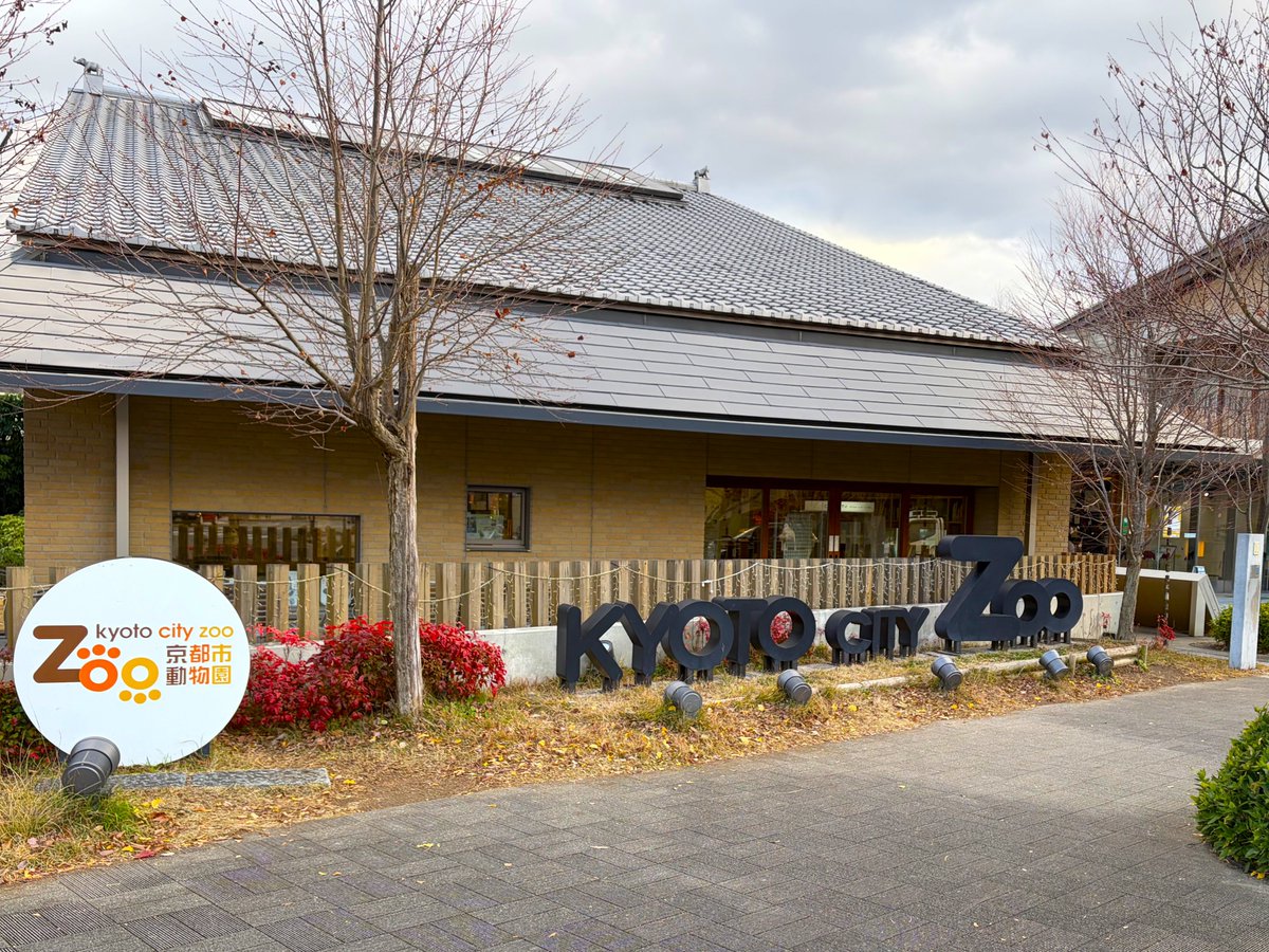 kyotosymphony's tweet photo. 🐾京都市動物園でコラボ展示開催！🐾

#京都市動物園 で「オーケストラと動物」をテーマにした展示を開催中です！
オーケストラと動物の意外な関係性をクイズ形式で楽しめます🎵

展示スペースの図書館カフェ2Fは入園料不要ですので、ぜひお気軽にお越し下さい！

#京響 #京都市交響楽団 https://t.co/LaVgh3etDJ