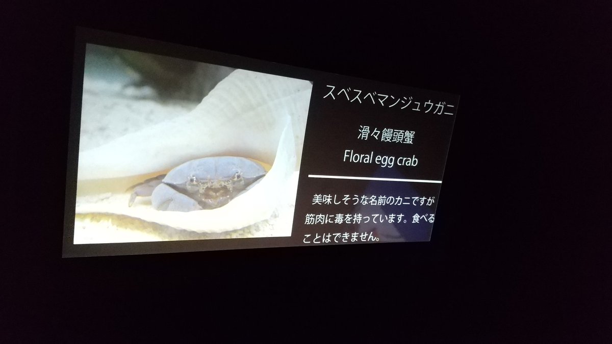 声に出して読みたい日本語