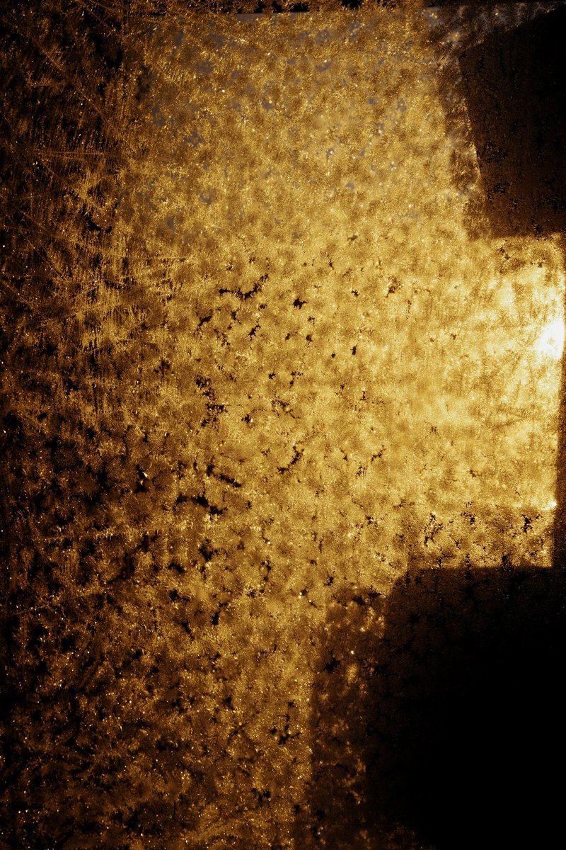 かわうそ商店 Kawauso-shote (@kawauso_M) / Posts / X