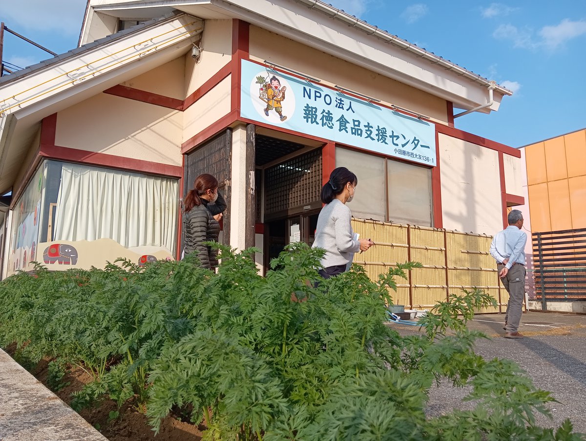 【視察のご報告】
#休眠預金事業 の実行団体である、「特定非営利活動法人報徳食品支援センター」様を訪問し、活動状況などいろいろなお話をお伺いしました✨
花壇に生い茂っている葉はニンジンです🥕☺️
#フードバンク