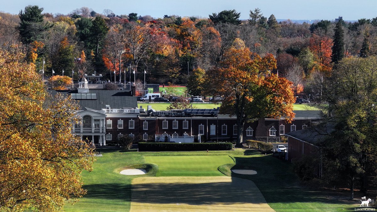 LinksGems tweet media