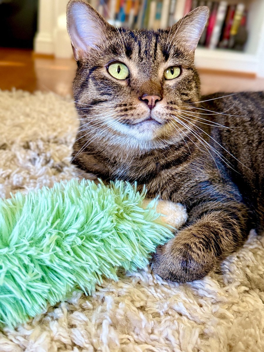 For the love of Missy. tweet media