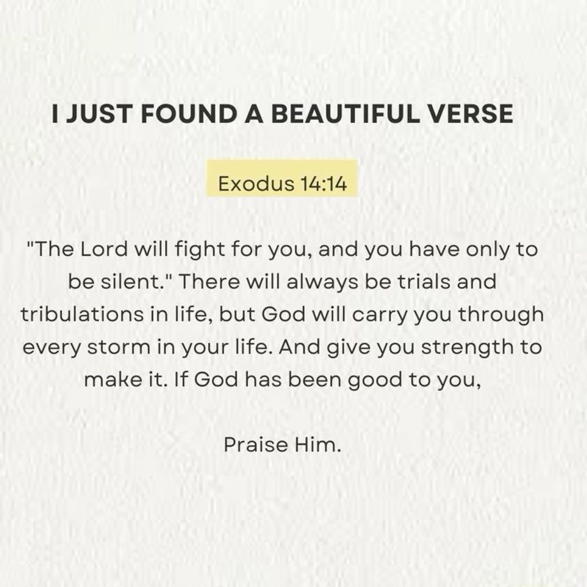 Holy__Bible1's tweet image. 