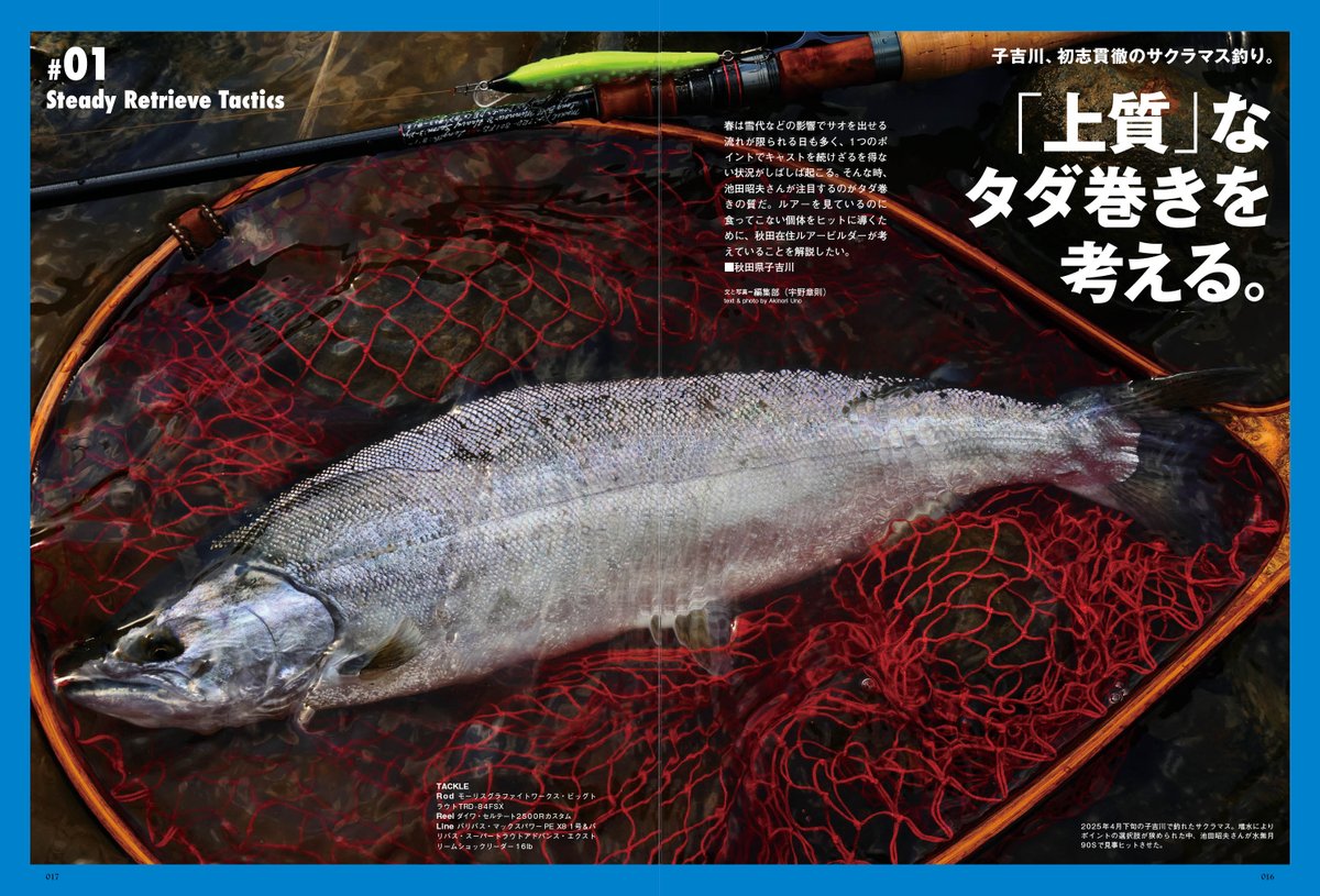 、サクラマス、エリアトラウト、色々まとめ売り‼️ 歌舞伎揚