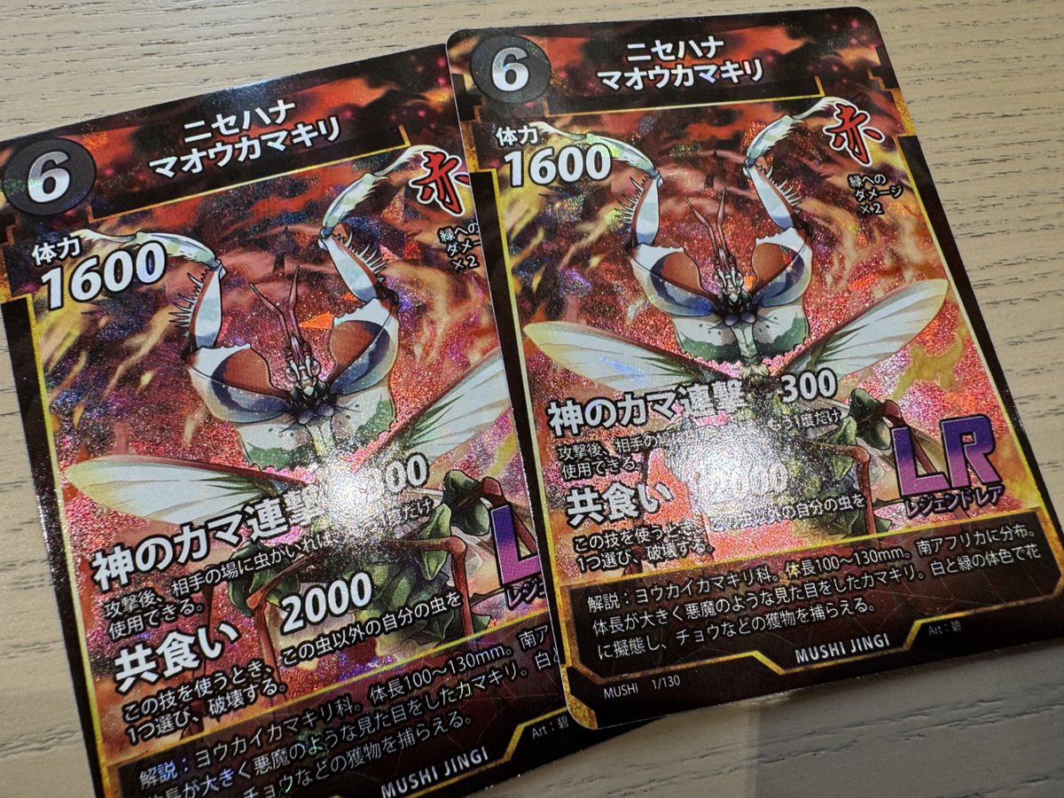 キターーーー！！！
