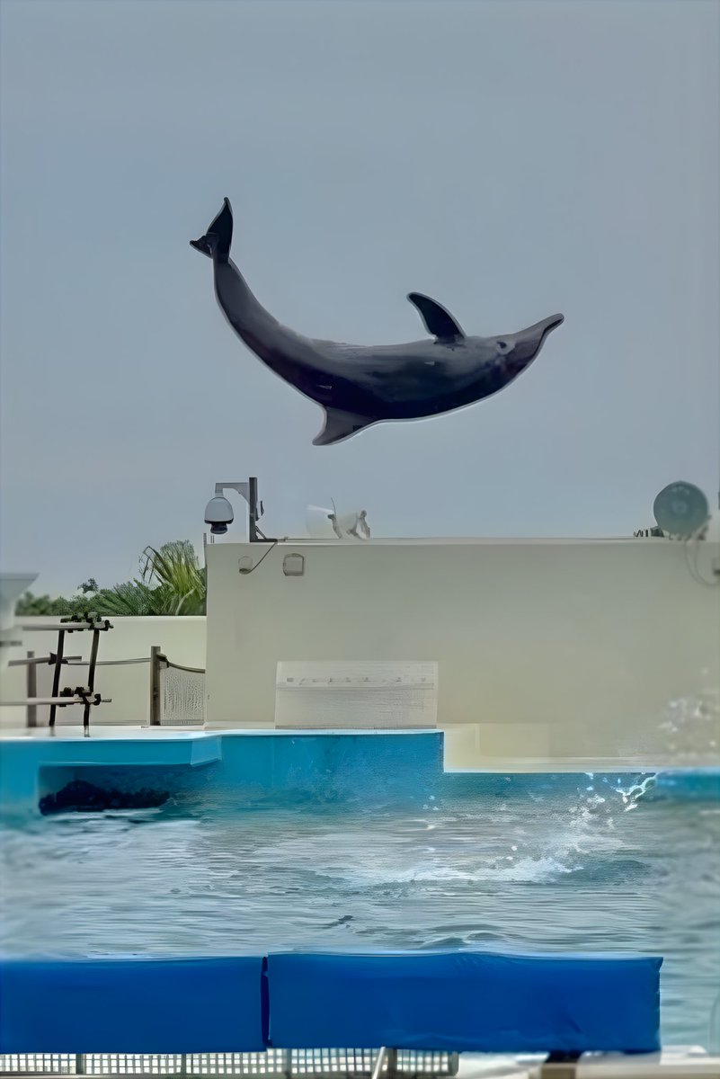 豆乳さん🥛🌱 (@mamenitounyu) / Posts / X