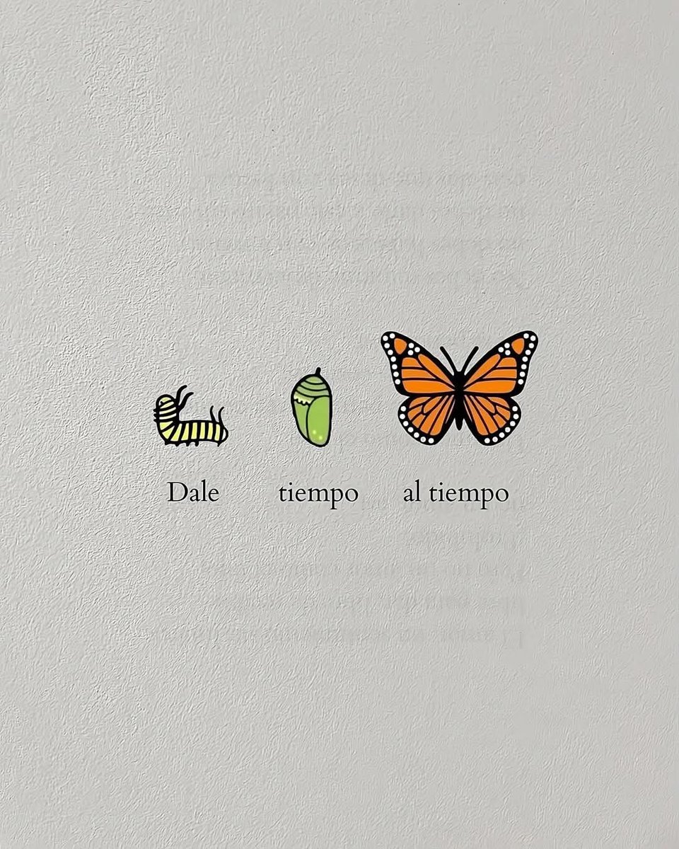 Buuuueeeenooooss diiiaaasss, vamos a por el viernes con una gran sonrisa y motivación a topeee. Recuerda que hoy será un gran día para conseguir lo que te propongas 💪☕😊 #disfruta #atopeee #energíapositiva #motivacion #sefeliz #BuenosDiasATodos