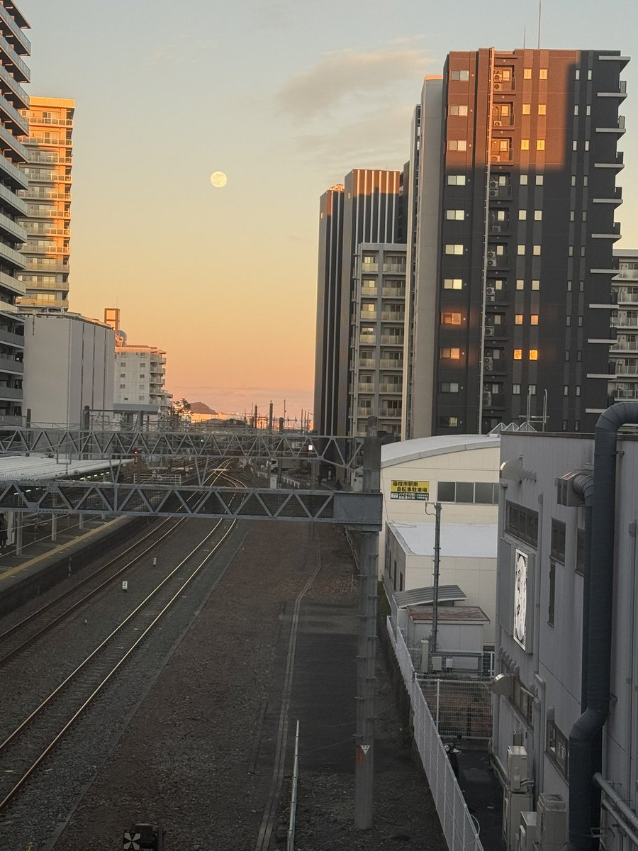 ロロン♬ プロロンさんポチポチ🍅🍠
