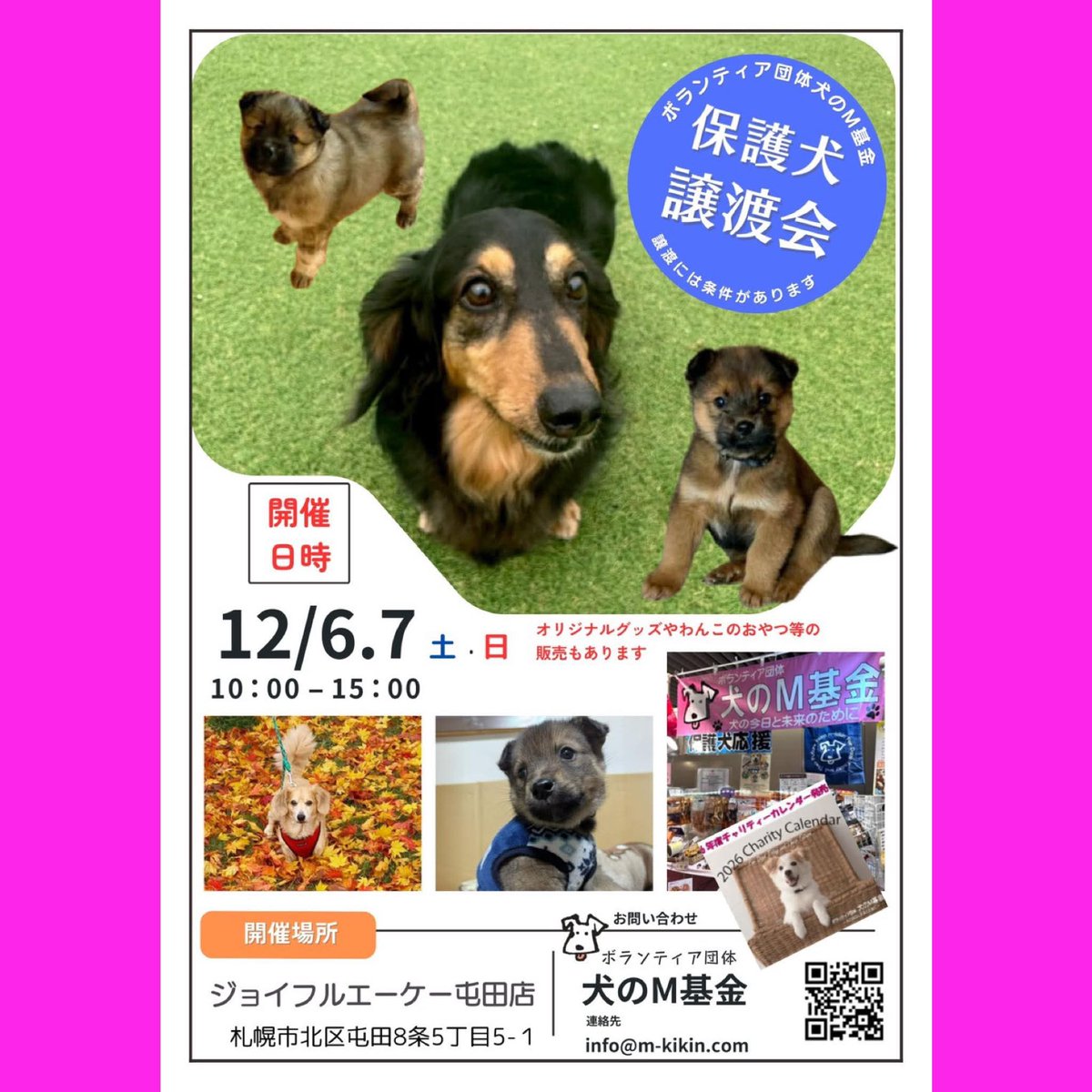 📣保護犬譲渡会＆チャリティー物販📣

参加メンバーご紹介①

ジョイフルエーケー屯田店に会いにきてねー💖by参加メンバーず

🍀日程はポスターをご覧ください

🍀詳しくはコチラ↓
instagram.com/p/DR3cEVukrJg/…

#譲渡会 #保護犬 #子犬 #幼犬 #成犬 #雑種 #柴犬 #ビーグル #ダックス #MIX #北海道 #札幌