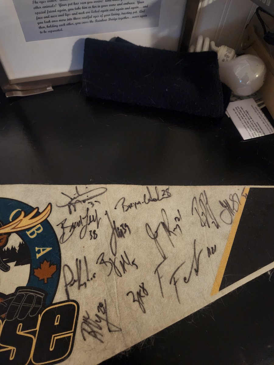 SFE_Greatest's tweet photo. @ManitobaMoose 

I have an old collectable from the early 2000s I'd like to give to y'all. Don't remember the specific year year but this is it; https://t.co/9opPLqsqbw
