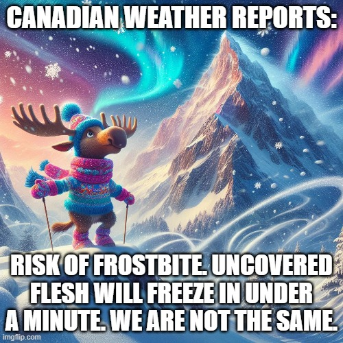 Librarian Fella (@librarianfella) on Twitter photo 