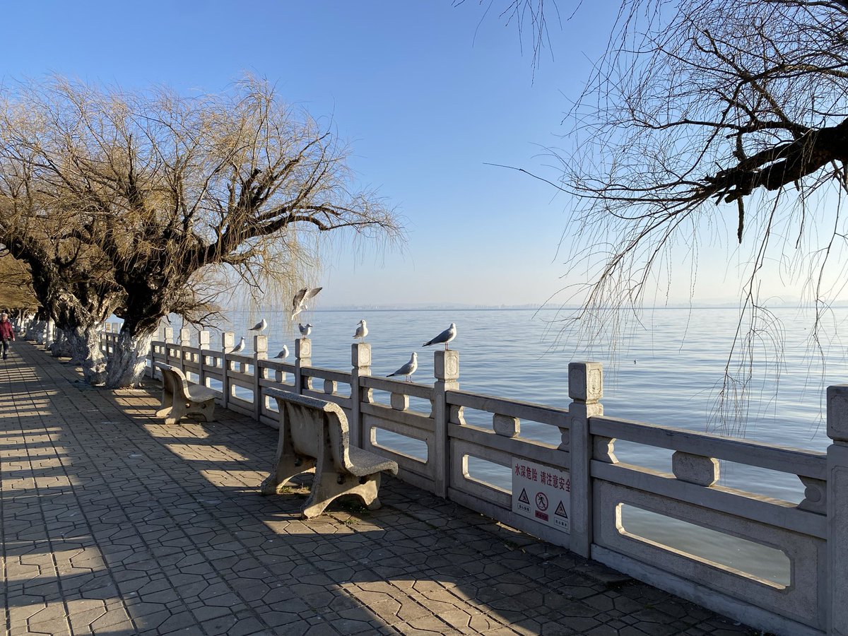 Jimgreen_BTC's tweet image. Midnight of Zama: Season 5 — The Final Summoning

#Part 1

December 2025. Zama Creator Program Season 5 (the last season before $ZAMA TGE in Q1 2026) has begun like a fever that refuses to break.

@zama only posts gold-and-midnight-blue teasers: encrypted chains pulsing like