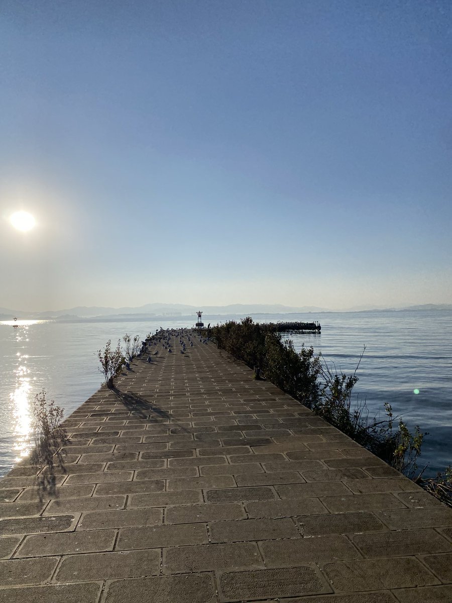 Jimgreen_BTC's tweet image. Midnight of Zama: Season 5 — The Final Summoning

#Part 1

December 2025. Zama Creator Program Season 5 (the last season before $ZAMA TGE in Q1 2026) has begun like a fever that refuses to break.

@zama only posts gold-and-midnight-blue teasers: encrypted chains pulsing like