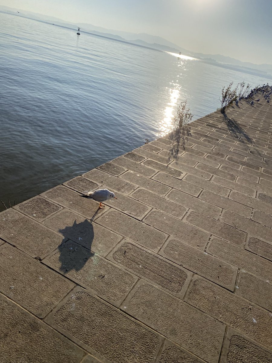 Jimgreen_BTC's tweet image. Midnight of Zama: Season 5 — The Final Summoning

#Part 1

December 2025. Zama Creator Program Season 5 (the last season before $ZAMA TGE in Q1 2026) has begun like a fever that refuses to break.

@zama only posts gold-and-midnight-blue teasers: encrypted chains pulsing like