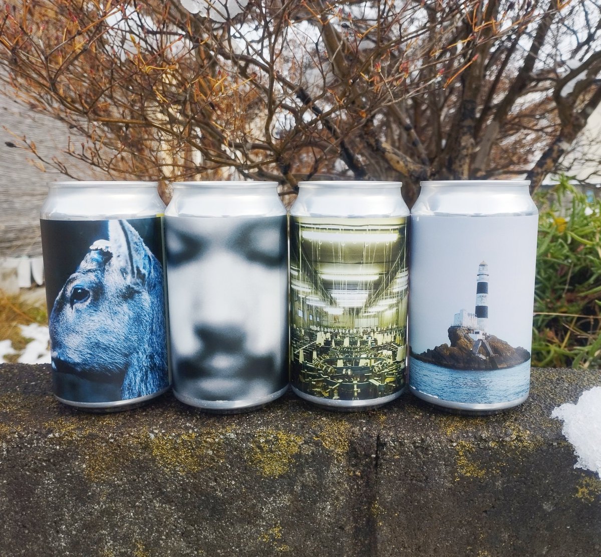 新商品情報😆 伊勢角屋麦酒様より「toe 25th ANNIVERSARY」コラボ