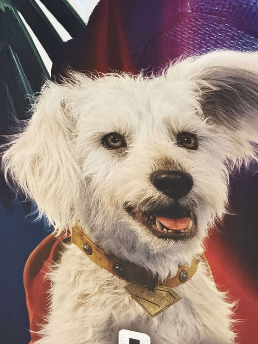 コミコンきたよーん、抽選できるらしい

#UNEXTコミコン