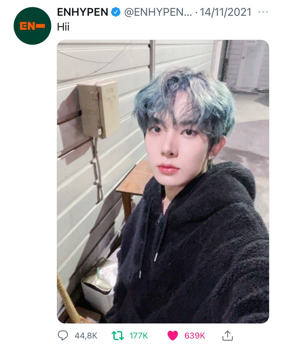 ʕ·ᴥ·ʔ tweet media