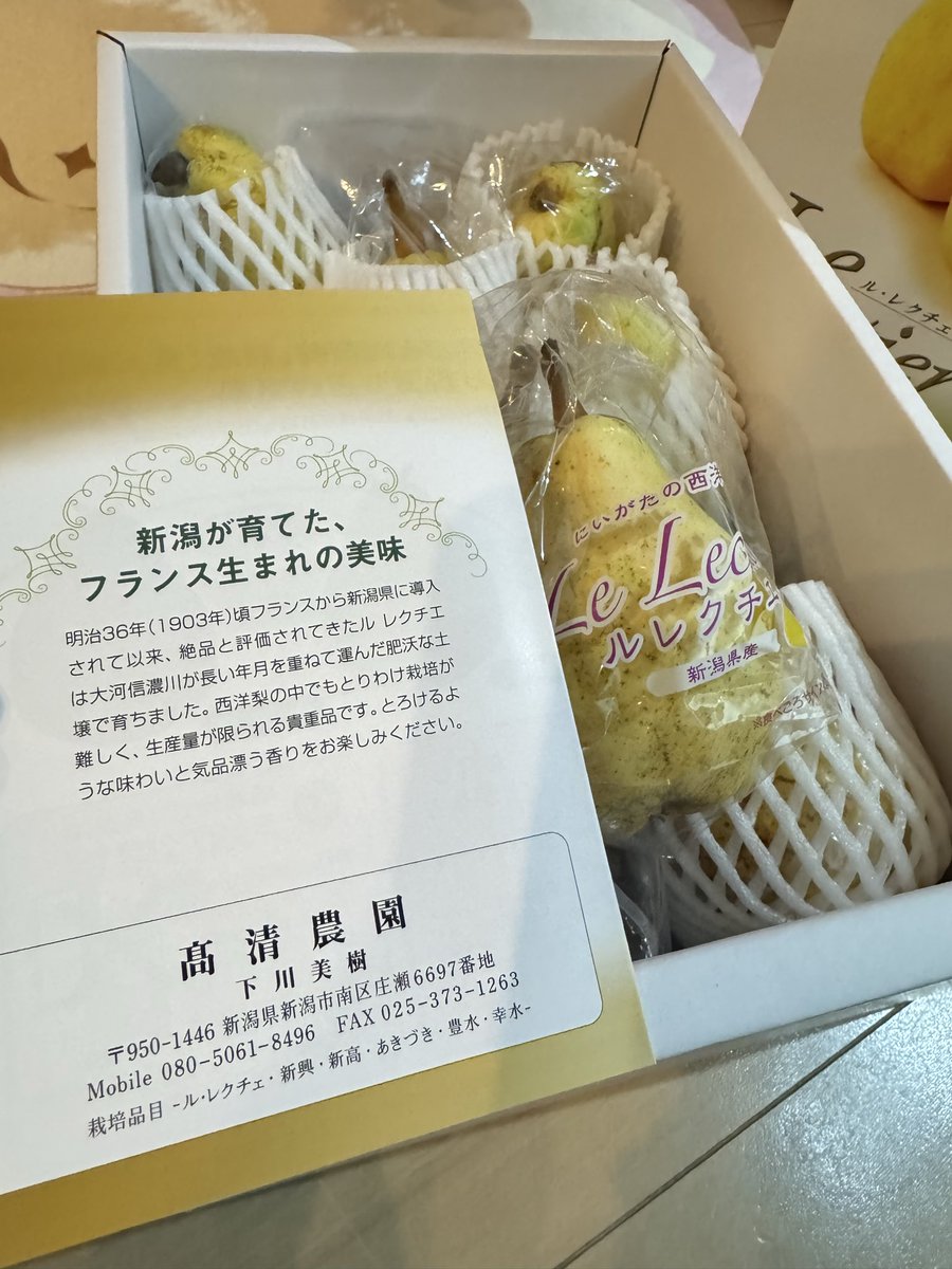 misotabi's tweet photo. ヤッタやったー🙌🏻
新潟の宝石　ル・レクチェが届きました😍
もう数日置いたら食べ頃になりそう！
楽しみー😊
ありがとうございます❣️
@tetan6201 

#高清農園
#ル・レクチェ https://t.co/m5f503totl