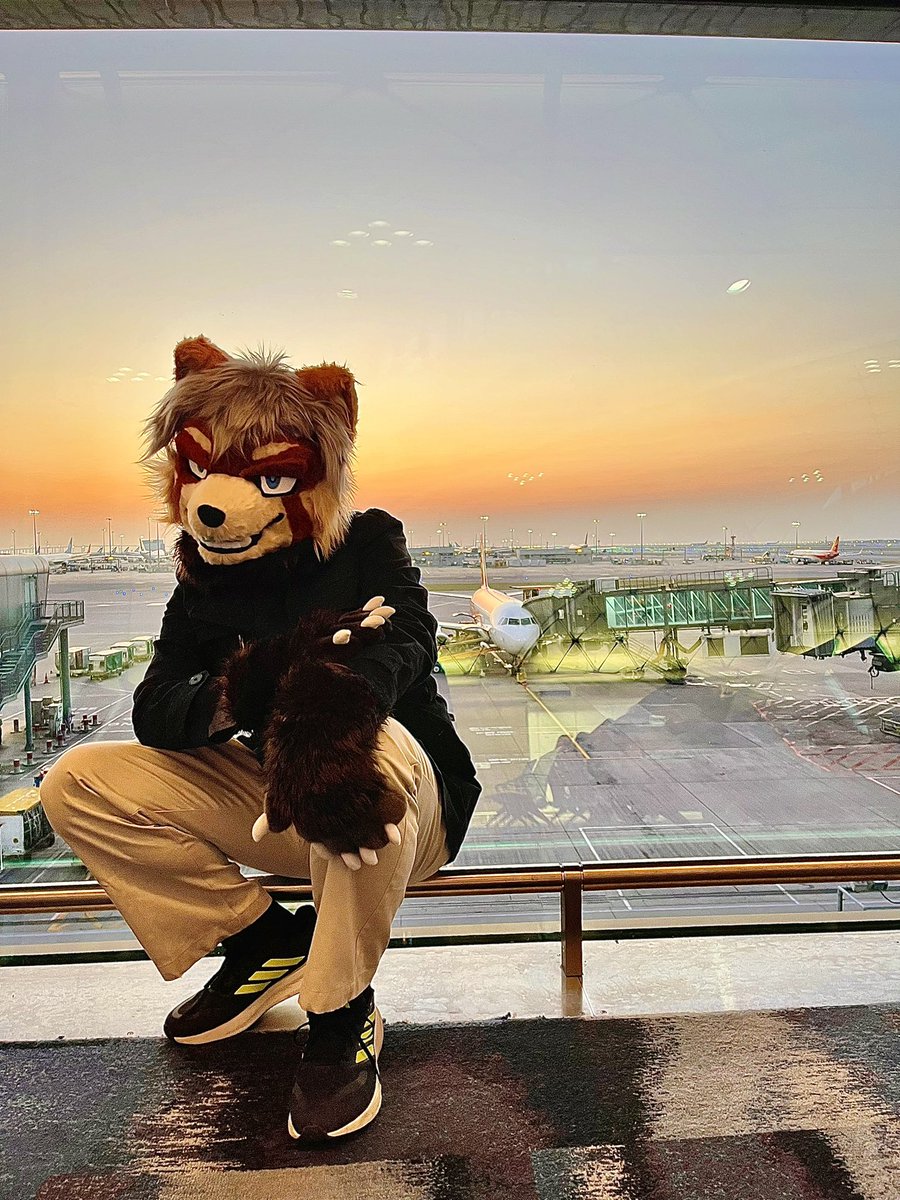 ♣️ | Blammominator tweet media