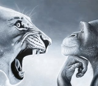 heater✧ tweet media